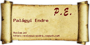 Palágyi Endre névjegykártya